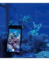 TRUEREEF FILTER LENS SUNSET BOULEVARD MAXSPECT